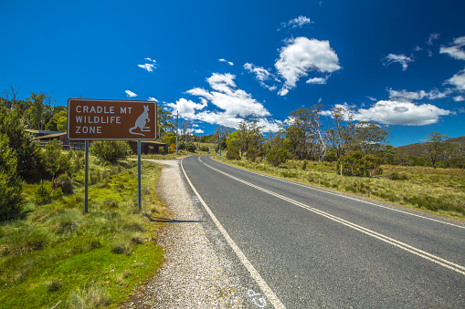 Cradle Mountain Wildlife Zone Sign, C132, access road to Dove Lake in Cradle Mountain-Lake St Clair National Park, Tasmania, Australia.