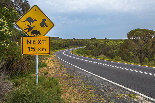 istock Australian road signs 482428952