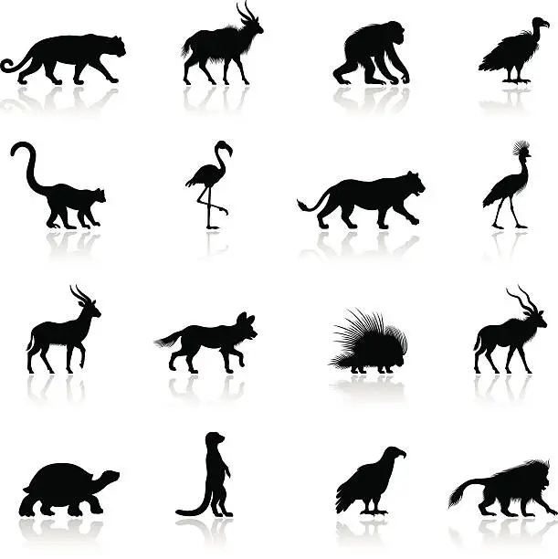 Vector illustration of African Animal Silhouettes