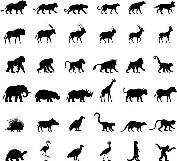 Vector illustration of African Animal Silhouettes