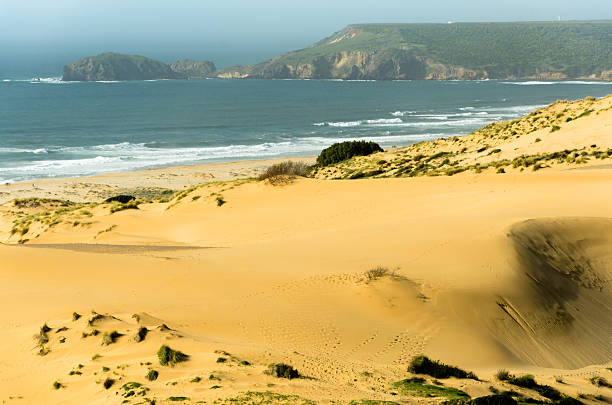 Sardinia, Pistis stock photo