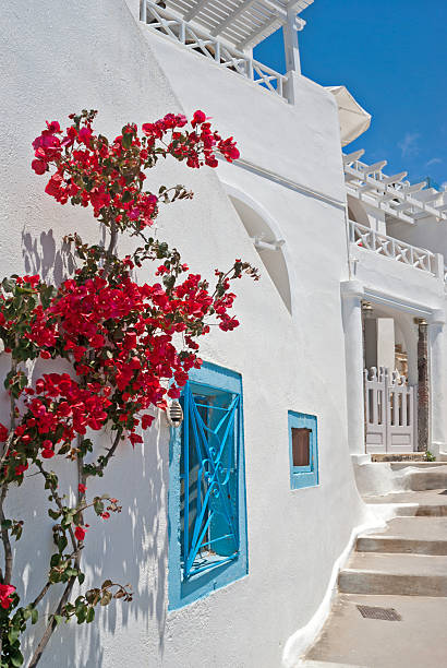 istock Architecture on Santorini island, Greece 482430374