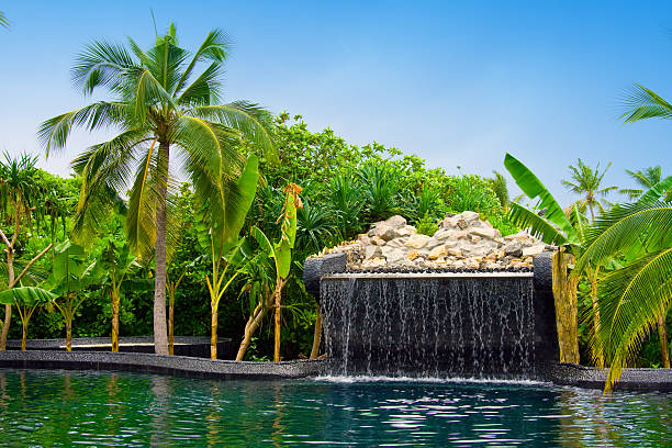 istock Pool with small fall in tropical garden. 482430388