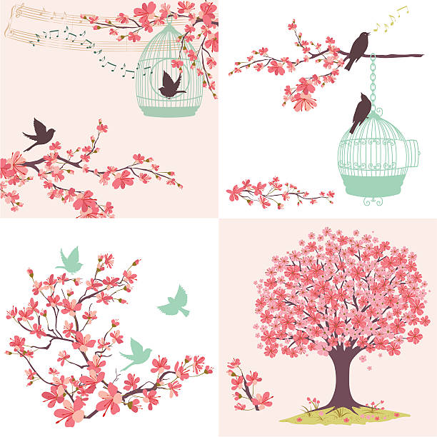 cherry blossoms sakura and birds ornaments set - 鳥籠 插圖 幅插畫檔、美工圖案、卡通及圖標