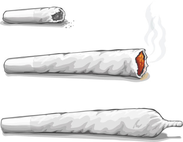 illustrazioni stock, clip art, cartoni animati e icone di tendenza di o spliff comune. il consumo di droghe e farmaci, marijuana fumatori - spinello