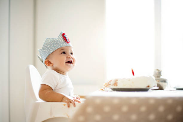 one year old boy celebrating birthday - eerste verjaardag stockfoto's en -beelden