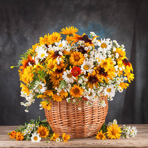 istock Autumn still life. Flower, fruit and vegetables 482436516