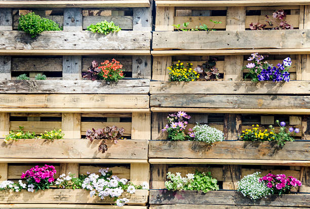 istock Flowers hanging in the Urban garden 482437140