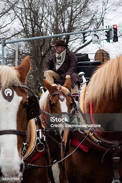 Stagecoach Stock Photo - Download Image Now - Adult, Close-up, Color Image