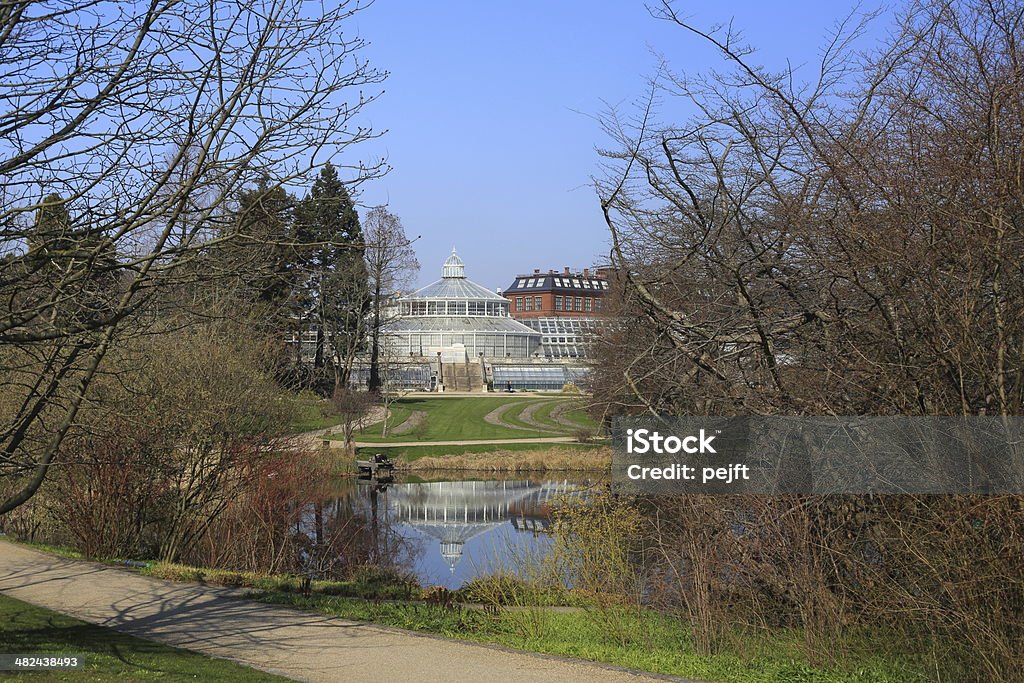 Serra in giardino botanico, Copenhagen - Foto stock royalty-free di Ambientazione esterna