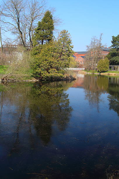 istock Botanic Garden, Copenhagen 482439289