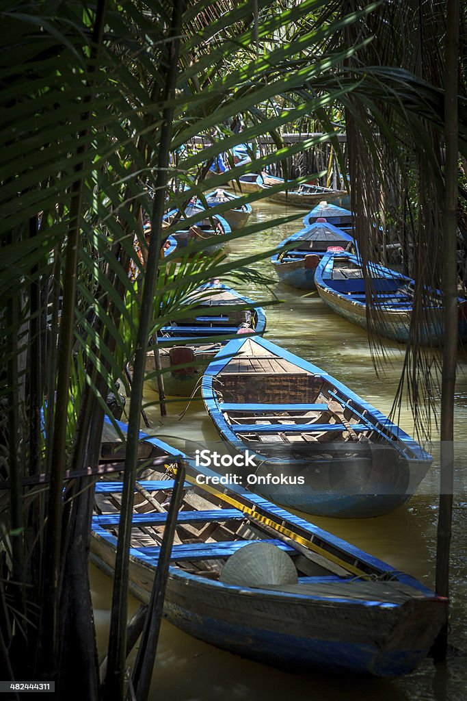 Traditionnal Vietnamese Boats in Mekong Delta, An Giang, Vietnam Traditional boats at Tra Su Natural Reserve in Mekong Delta, An Giang Vietnam Stock Photo