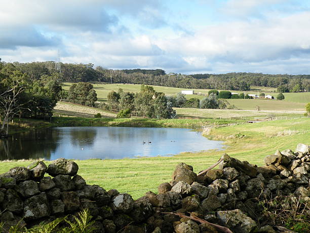 istock Convict built rock fence 482447916