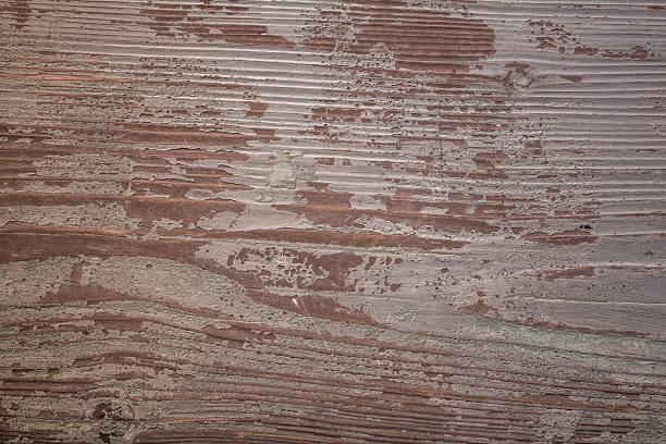 istock Wooden background, closeup shot 482448140