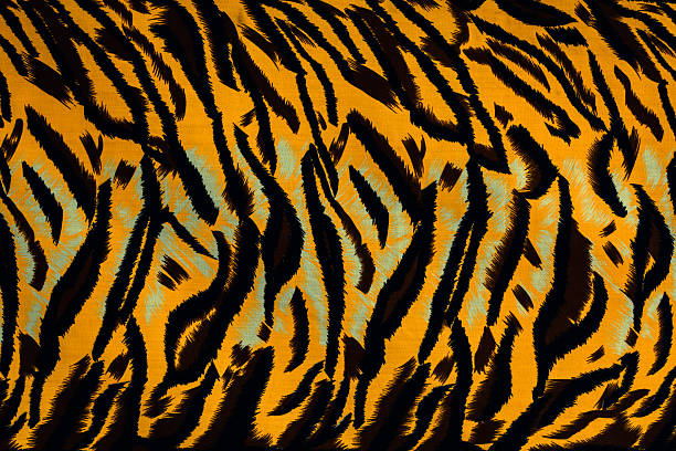 istock Texture fabric of tiger for background 482448248