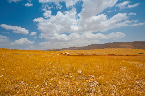 Big Stones in Sand Hills of Samaria, Israel