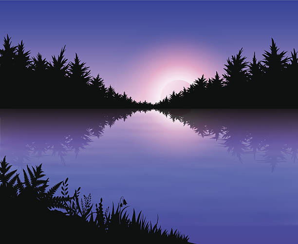 Landscape with sunset vector art illustration