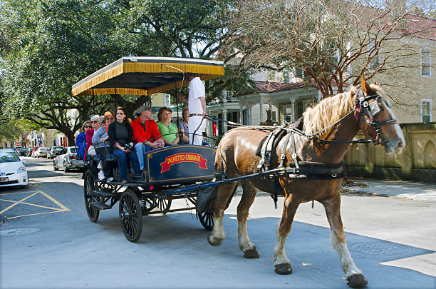Horse and carriage wait patiently on old city street.