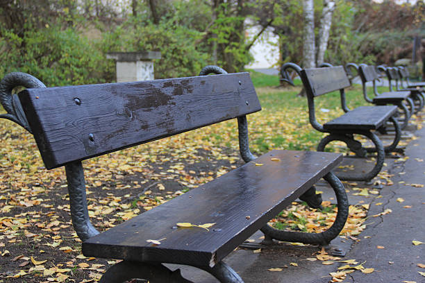 istock Benches in autumn park 482451546