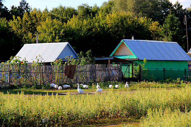The photo shows a Russian village: cottages, poultry farms