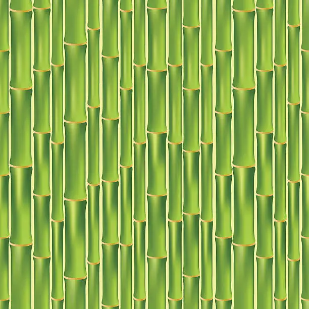 Vector illustration of Green bamboo seamless texture