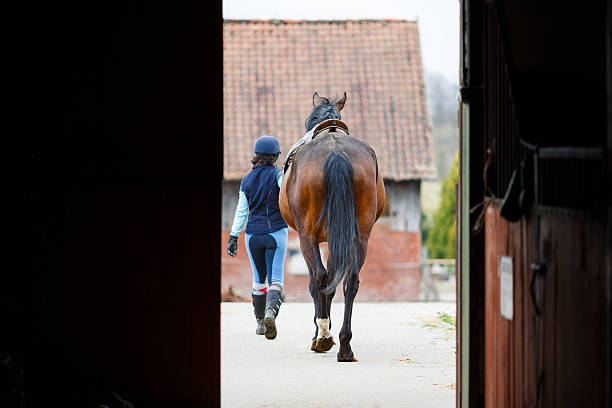 istock Rider with the horse 482453736