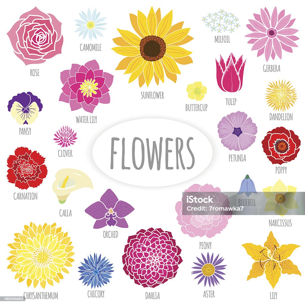 Ensemble d'abstrait fleurs à écran plat. - clipart vectoriel de Chrysanthème libre de droits