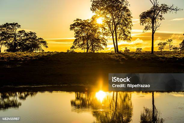 カラフルな夕日のパンタナールブラジル - アマゾン地域のストックフォトや画像を多数ご用意 - アマゾン地域, アマゾン川, オレンジ色