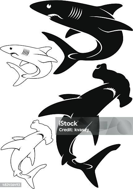 The Picture Shows A White Shark 망치머리상어에 대한 스톡 벡터 아트 및 기타 이미지 - 망치머리상어, 청상아리, 괭이상어과