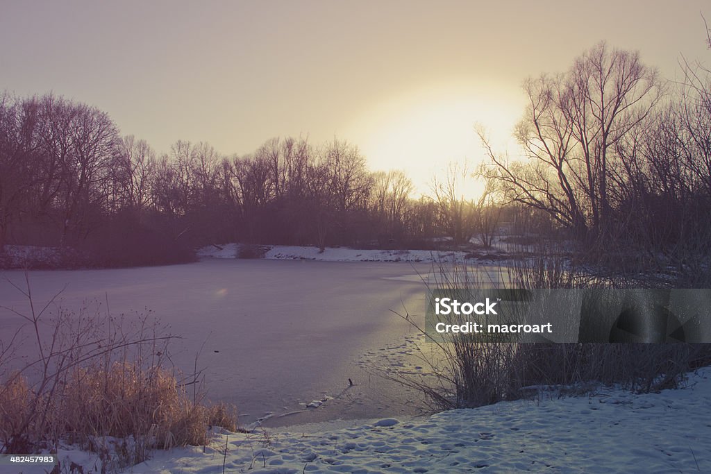 winter landscape in winter Cold Temperature Stock Photo