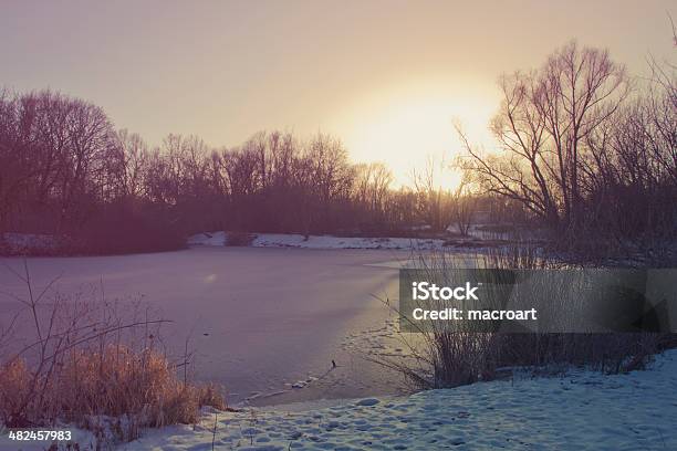 Winter Stock Photo - Download Image Now - Cold Temperature, Dusk, Footpath