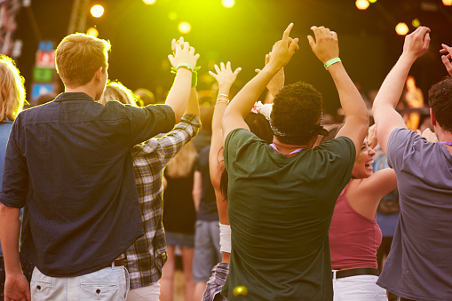 Back view of audience at a music festival