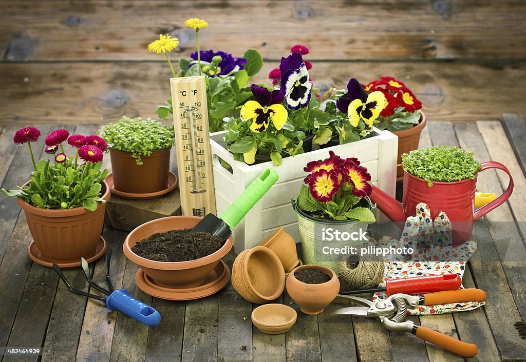 Gardening tools and flowers Agriculture Stock Photo