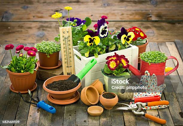 Gardening Tools And Flowers Stock Photo - Download Image Now - Agriculture, Blossom, Botany