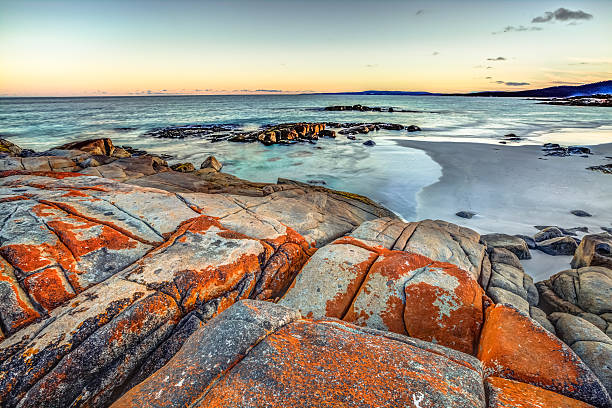istock Tasmania Bay of Fires 482467906
