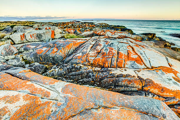 istock Bay of Fires Tasmania 482467908