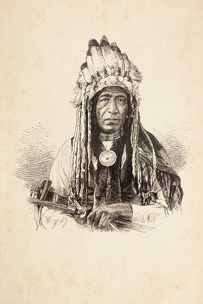 음각 of 원어 칠레식 추장, 머리 장식물 - native american north american tribal culture tribal chief headdress stock illustrations