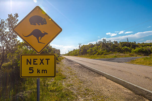 istock Australian road signs 482471964