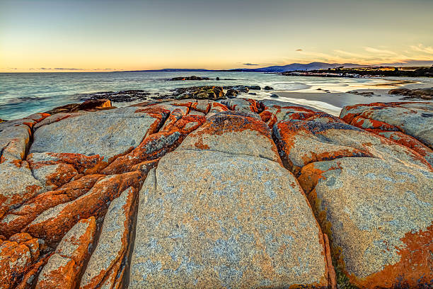 istock Bay of Fires Tasmania 482472820