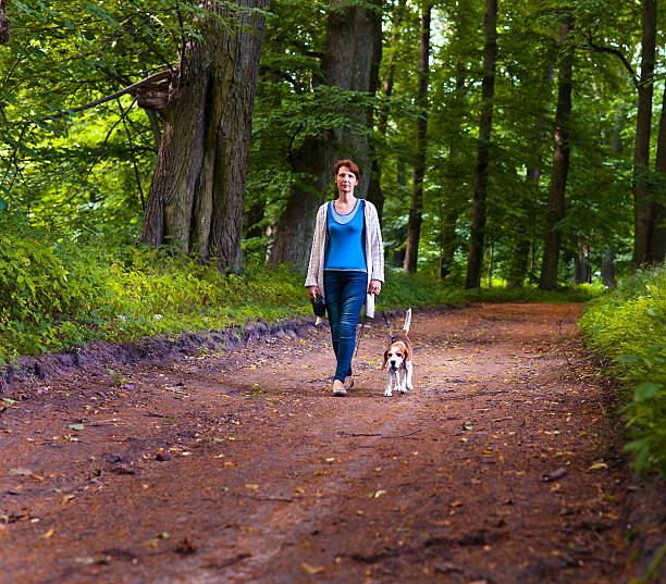 istock woman with beagle walking in the park 482473614