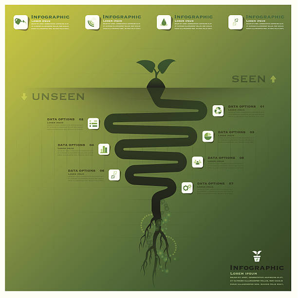 Tree Roots Fact Poster 380+ Tree Root Infographic Stock Illustrations, Royalty-Free Vector ...