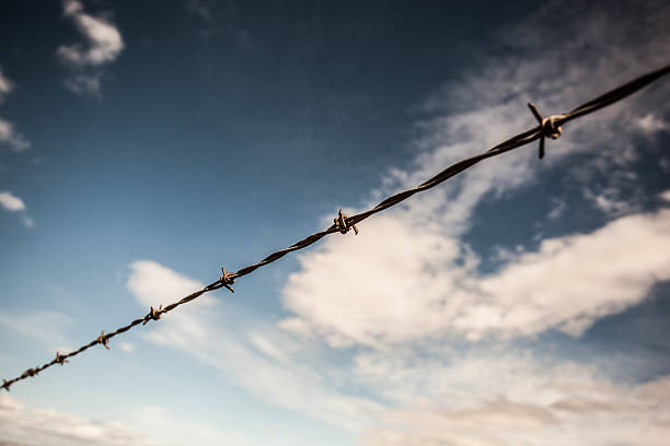 istock barbed wire southwest americana 482474395
