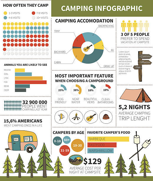 camping-infografik - gitarre grafiken stock-grafiken, -clipart, -cartoons und -symbole