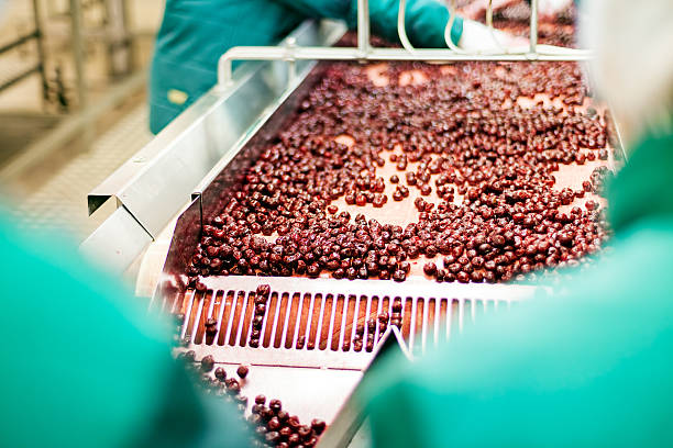 Cherry Packing Process 1,900+ Cherry Processing Stock Photos, Pictures & Royalty-Free Images ...