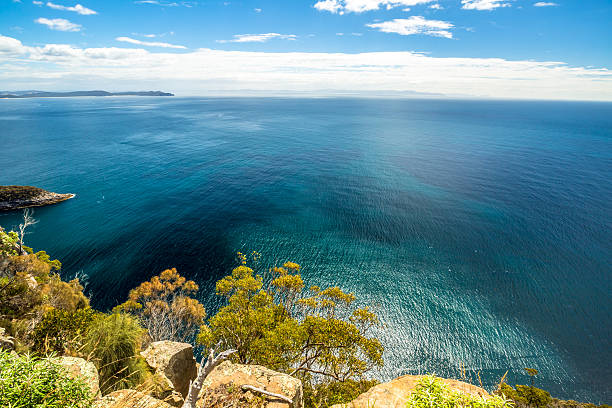 Spectacular views of the cliffs, ocean and Penguin Island during the trek Fluted Cape within the South Bruny National Park Bruny Island, Tasmania Australia. .