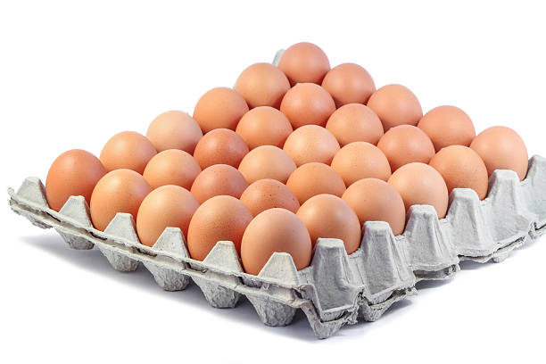 frango frescas, ovos em papel bandeja em fundo branco - cholesterol ellipse shell box - fotografias e filmes do acervo