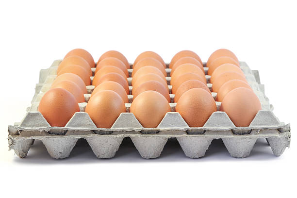 frango frescas, ovos em papel bandeja em fundo branco - cholesterol ellipse shell box - fotografias e filmes do acervo