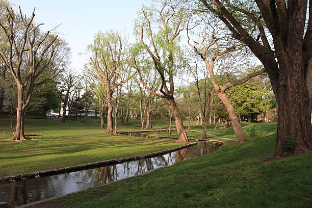 istock Landscape in Hokkaido University 482486404