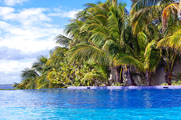 istock Pool  in tropical garden. 482488524