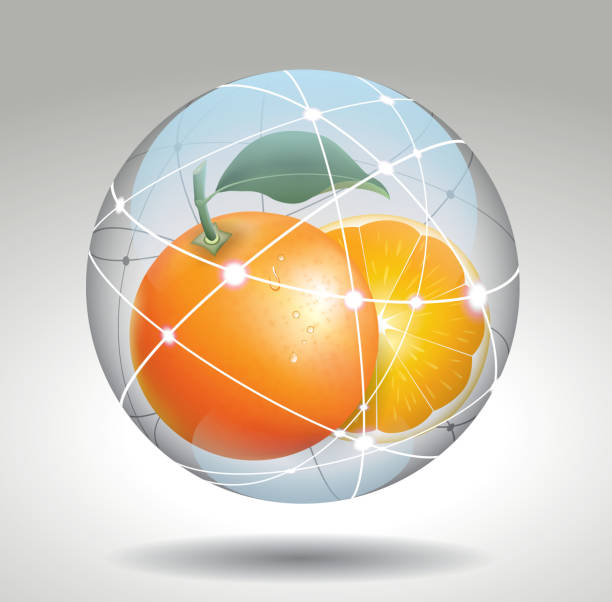 ilustrações de stock, clip art, desenhos animados e ícones de fresca laranja com bola de cristal - cyberspace technology abstract orange